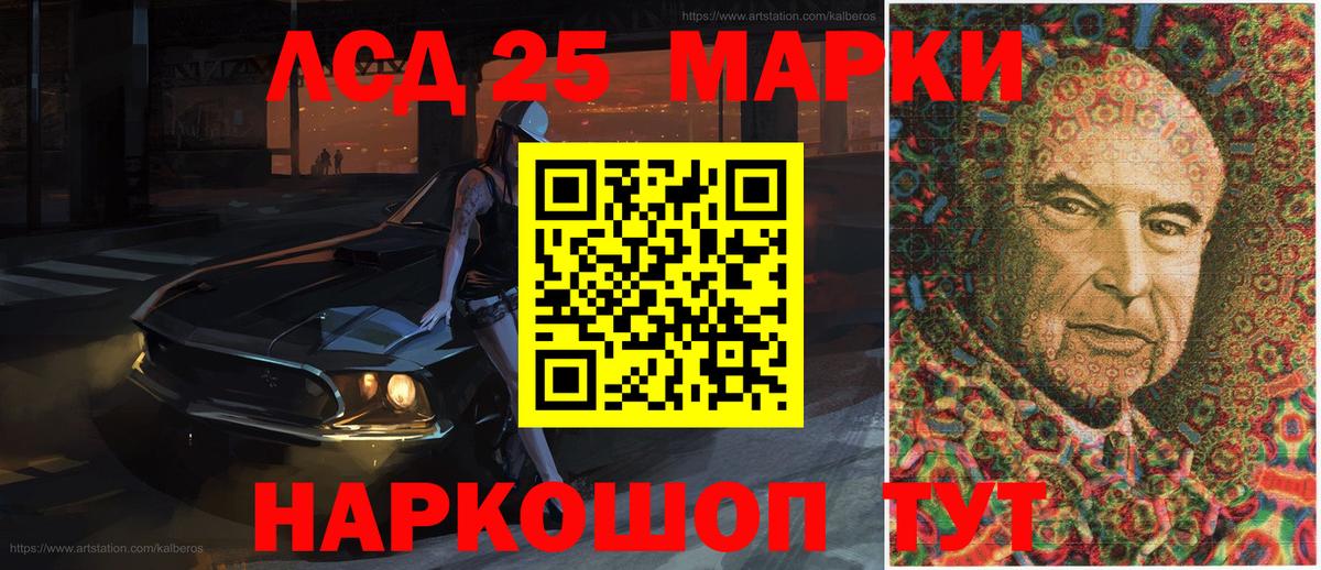 как найти наркотики  Наркотические марки 1,8мг  Новозыбков  Наркотические марки  Вход с VPN  Наркотические марки 1,8мг 