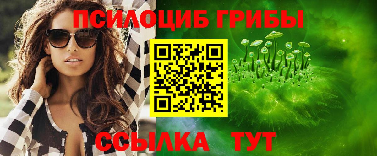 Новозыбков  Псилоцибиновые грибы GOLDEN TEACHER  Вход с VPN 